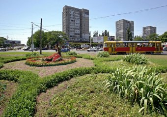 Одесские коммунальщики восстановили топиарную фигуру «Птица» на площади Толбухина (фото)