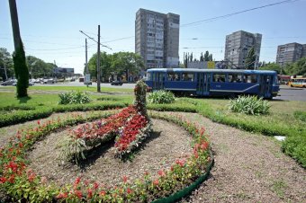 Одесские коммунальщики восстановили топиарную фигуру «Птица» на площади Толбухина (фото)