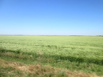 День в заповеднике (фото)