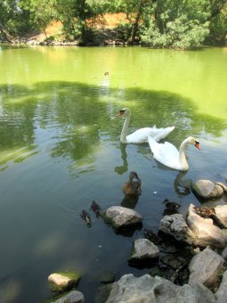 День в заповеднике (фото)