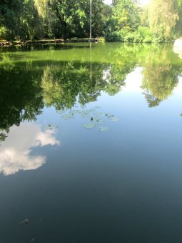День в заповеднике (фото)