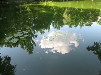 День в заповеднике (фото)