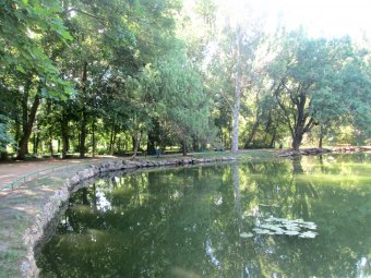 День в заповеднике (фото)