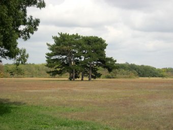 День в заповеднике (фото)