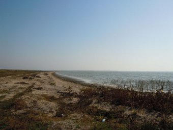 Озеро Сасык хотят соединить с морем