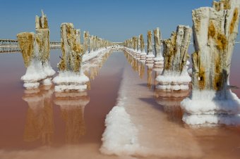 Эколог: Воду из озера Сасык нельзя использовать для бытовых и лечебных нужд