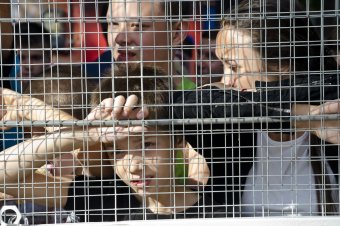 Доверяй делам: В Приморском районе открылась новая спортивная площадка (фото)