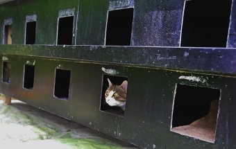 Недалеко от Дельфинария в Одессе появилась удивительная гостиница (фото)