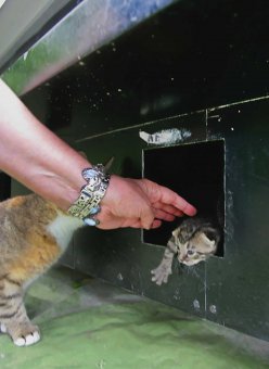 Недалеко от Дельфинария в Одессе появилась удивительная гостиница (фото)