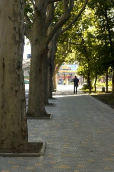 Одесские власти отчитываются об  обустройстве тротуаров и остановочных комплексов (фото)