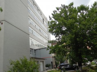 Собственница ювелирного завода «Аргентум» отстаивает своё законное право на предприятие
