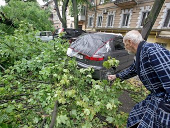 Непогода повалила несколько деревьев в Одессе