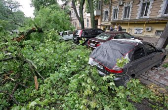 Непогода повалила несколько деревьев в Одессе
