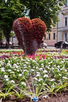 Приморский бульвар Одессы украсило цветочное «Сердце» (фото)