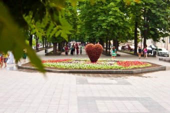 Приморский бульвар Одессы украсило цветочное «Сердце» (фото)