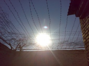 Убийство одессита раскрыто по «горячим следам» 