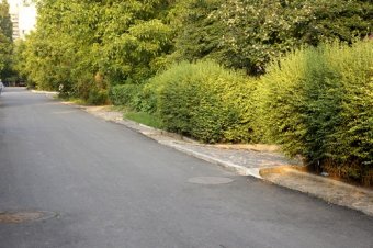 Новая асфальтированная дорога появилась в Одессе на улице Тульской