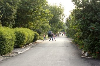 Новая асфальтированная дорога появилась в Одессе на улице Тульской