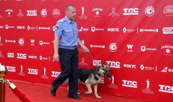 Красная дорожка ОМКФ-2015. Часть 1