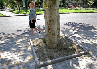 В Одессе отремонтирован тротуар на Адмиральском проспекте (фото)