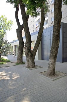 В Одессе отремонтирован тротуар на Адмиральском проспекте (фото)