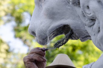 Львам Воронцовского дворца вернут первоначальный облик (фото)