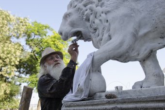 Львам Воронцовского дворца вернут первоначальный облик (фото)