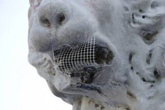 Львам Воронцовского дворца вернут первоначальный облик (фото)