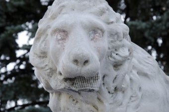 Львам Воронцовского дворца вернут первоначальный облик (фото)
