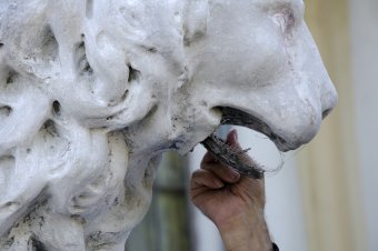 Львам Воронцовского дворца вернут первоначальный облик (фото)