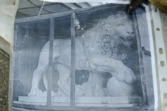 Львам Воронцовского дворца вернут первоначальный облик (фото)
