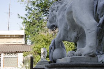 Львам Воронцовского дворца вернут первоначальный облик (фото)