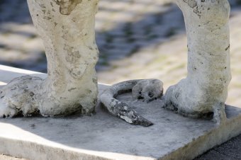Львам Воронцовского дворца вернут первоначальный облик (фото)