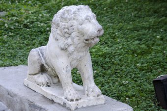 Одесский санаторий "Лермонтовский"