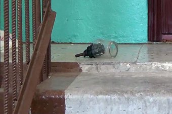 В милиции рассказали, как обезвредили гранату в стакане (фото)