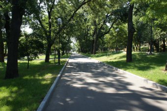 Одесситов приглашают на арт-пикник