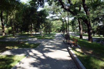 Одесситов приглашают на арт-пикник