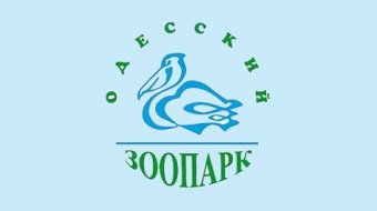 А ты готовил еду для мартышек?