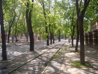 С 1 августа автобус №137 не будет курсировать по Французскому бульвару