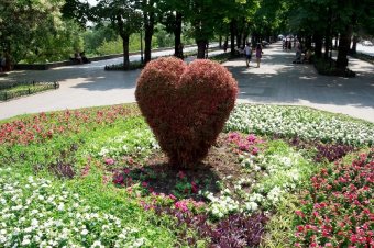 Излюбленные места гостей Одессы: Что, где и куда? (фото)