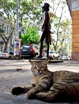 Излюбленные места гостей Одессы: Что, где и куда? (фото)