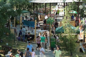 В Лунном парке Одессы стартовал Арт-пикник Славы Фроловой (фото)