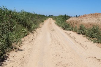 Иван Русев о дерибане прибрежной защитной зоны Черного моря и поймы реки Барабой в Грибовке (фото)