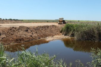 Иван Русев о дерибане прибрежной защитной зоны Черного моря и поймы реки Барабой в Грибовке (фото)