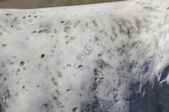 Отреставрированных львов у Воронцовского дворца откроют ко Дню города