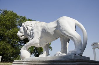 Отреставрированных львов у Воронцовского дворца откроют ко Дню города