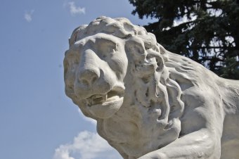 Отреставрированных львов у Воронцовского дворца откроют ко Дню города