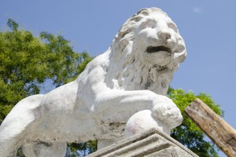 Отреставрированных львов у Воронцовского дворца откроют ко Дню города
