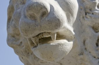 Отреставрированных львов у Воронцовского дворца откроют ко Дню города
