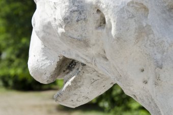 Отреставрированных львов у Воронцовского дворца откроют ко Дню города